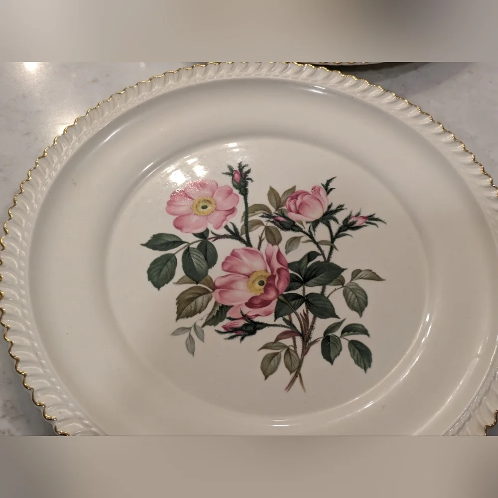 Vintage The Harker Pottery Co. 22 K Gold Trim Design Wild Rose Dinner Plates Set